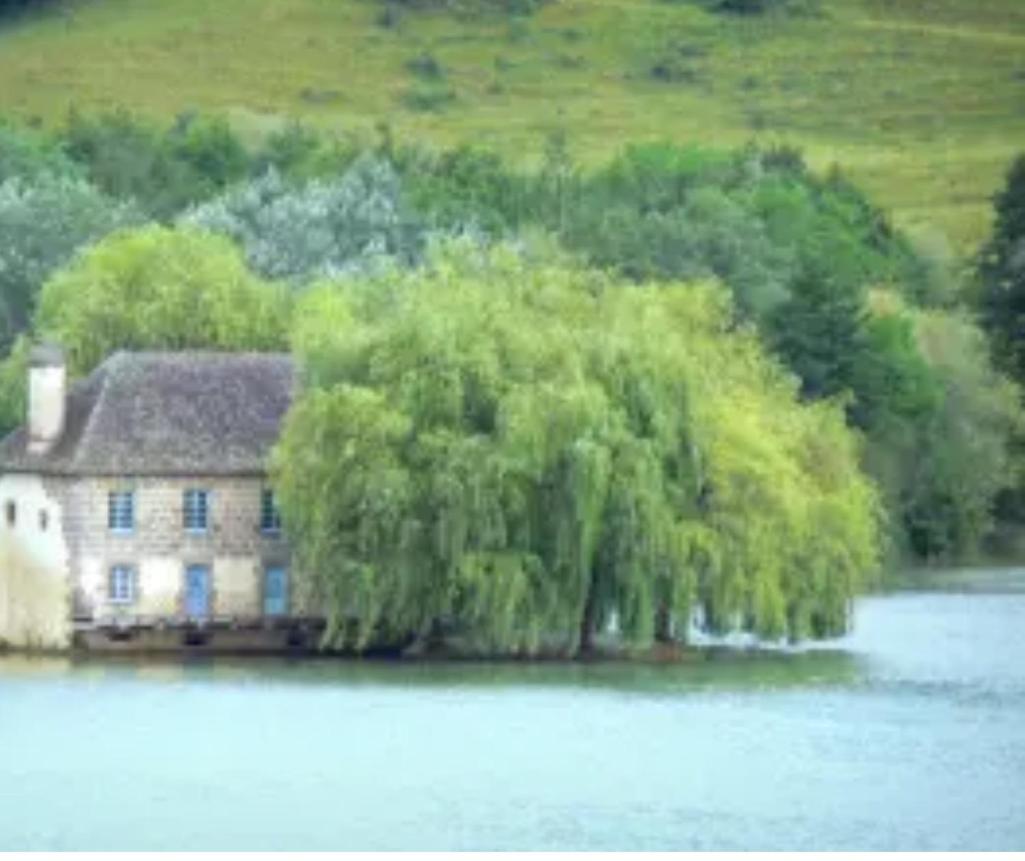 En Toute Quietude Lissac-sur-Couze ภายนอก รูปภาพ